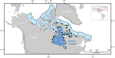 Screening for High-Risk Marine Invaders in the Hudson Bay Region, Canadian Arctic